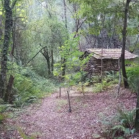 O Ninho Do Corvo *